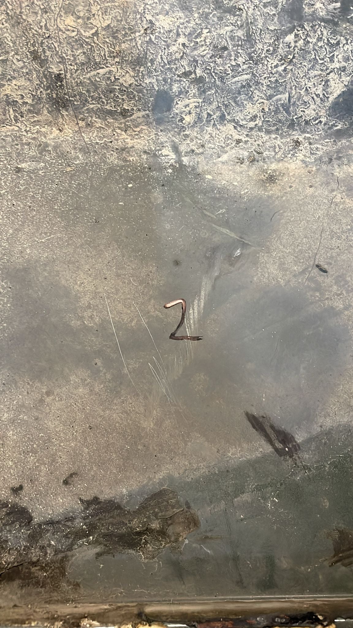 Porsche 928 front left wing, 92850301103 used