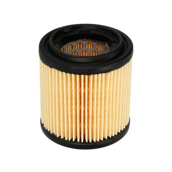 Porsche 928 Air Filter, Secondary Air Pump, 92811344500 New
