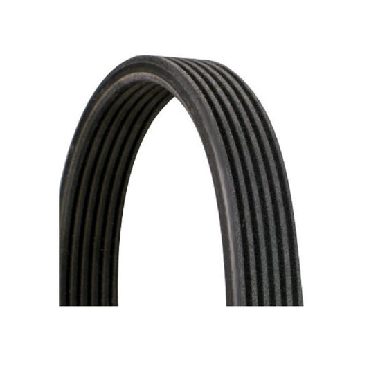 Porsche 987 997 Drive Belt, 9A1102216 New